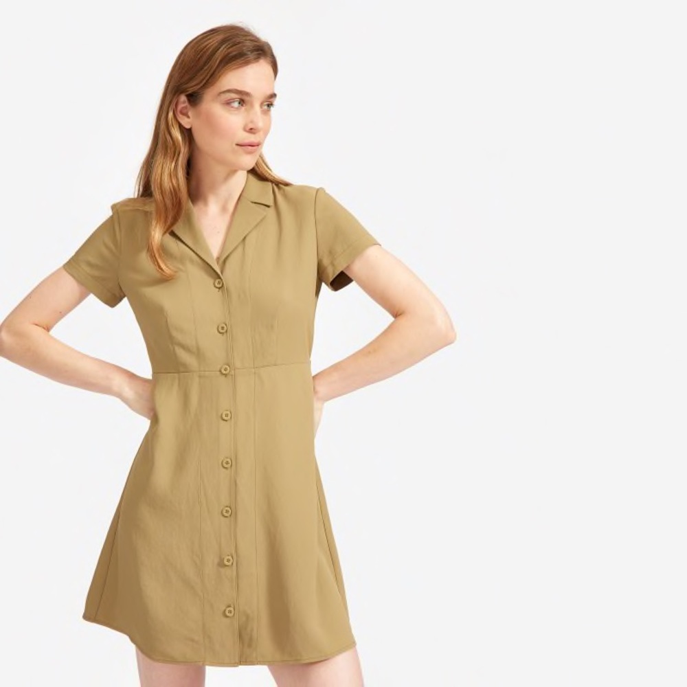 Everlane Japanese Goweave Notch Shirtdress